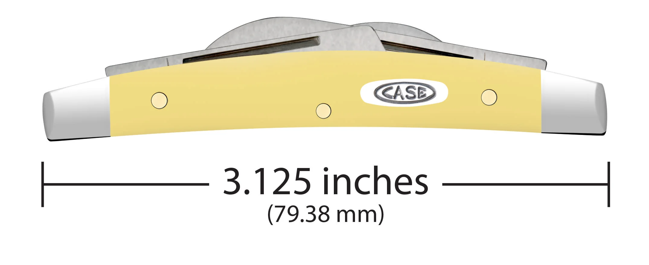 Smooth Yellow Synthetic Small Congress