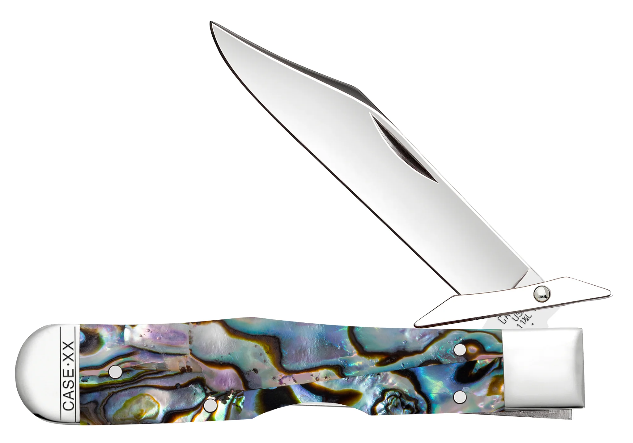 Smooth Abalone Cheetah® Cub