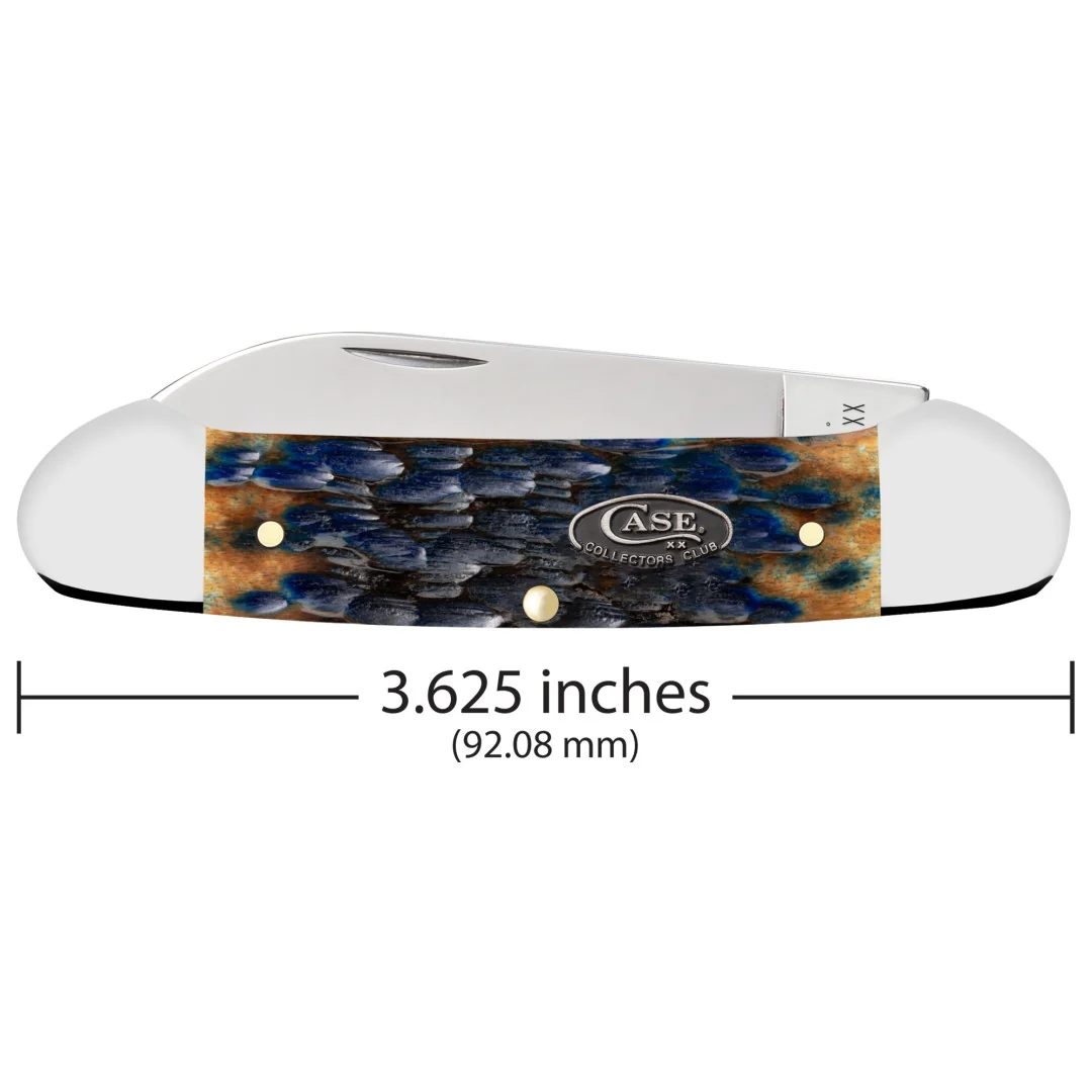 CCC® Blueberry Cobbler Bone Canoe