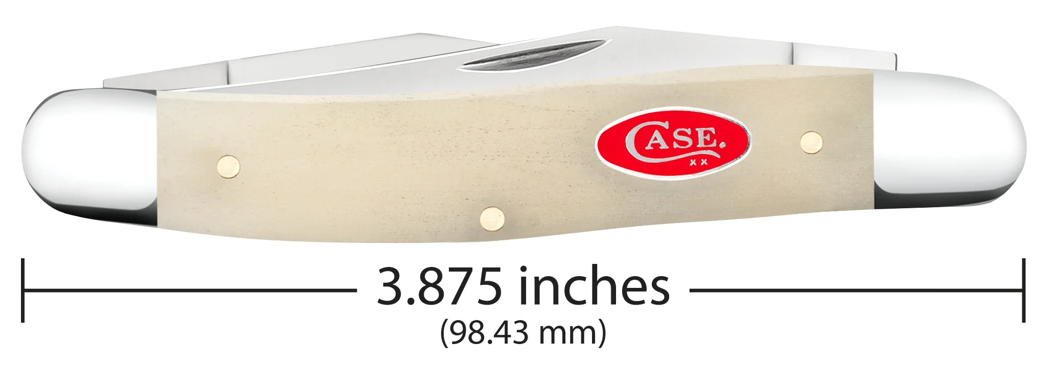 Smooth Natural Bone Muskrat