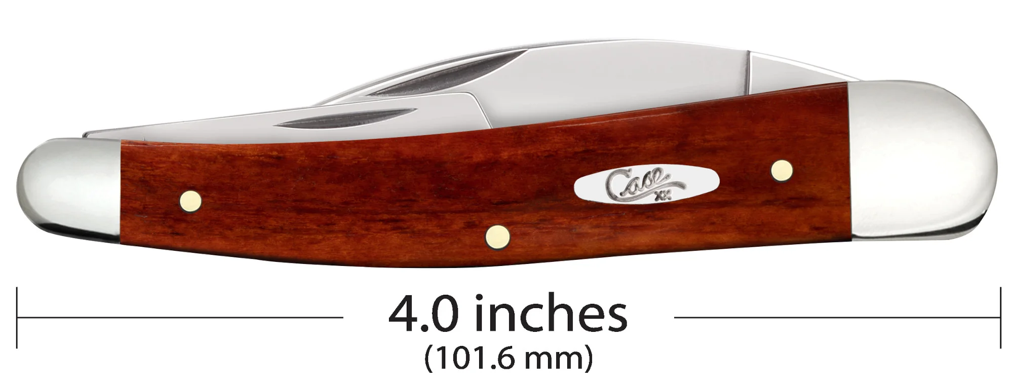 Smooth Chestnut Bone Seahorse Whittler