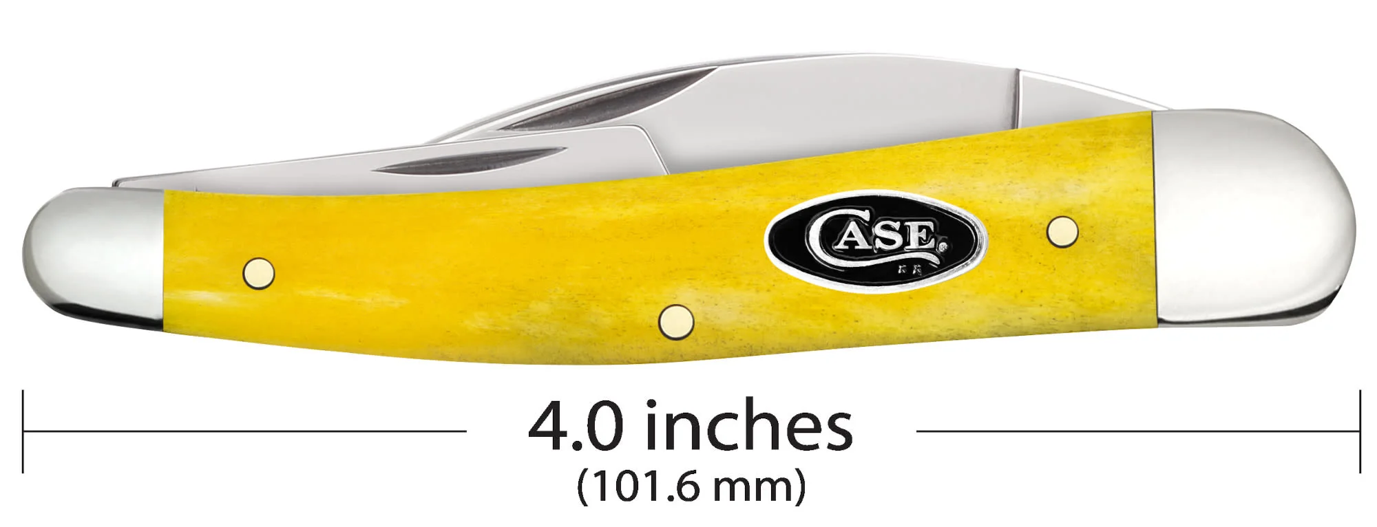 Smooth Yellow Bone Seahorse Whittler